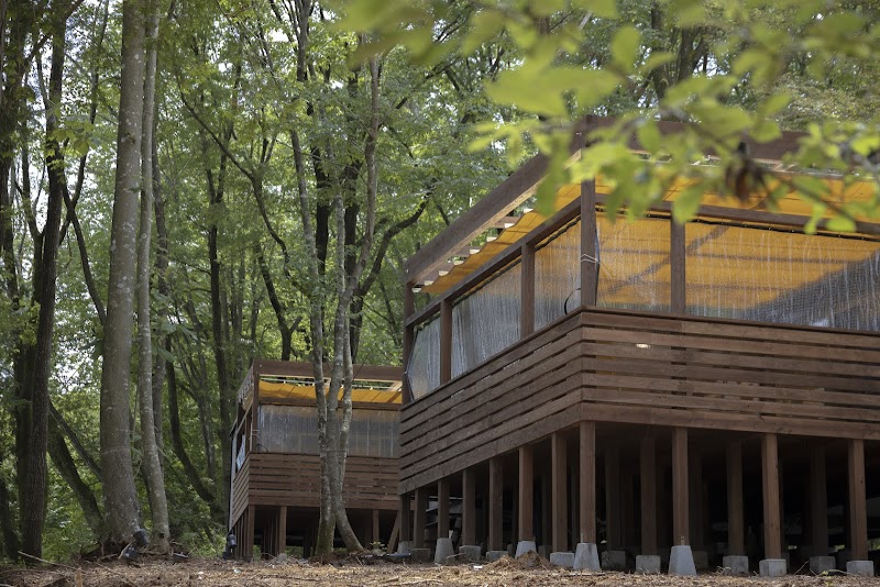 NAGI dog glamping ena │ ナギドッググランピングエナ